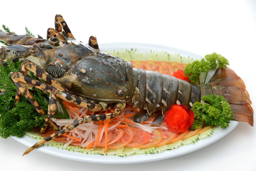 Australian Lobster