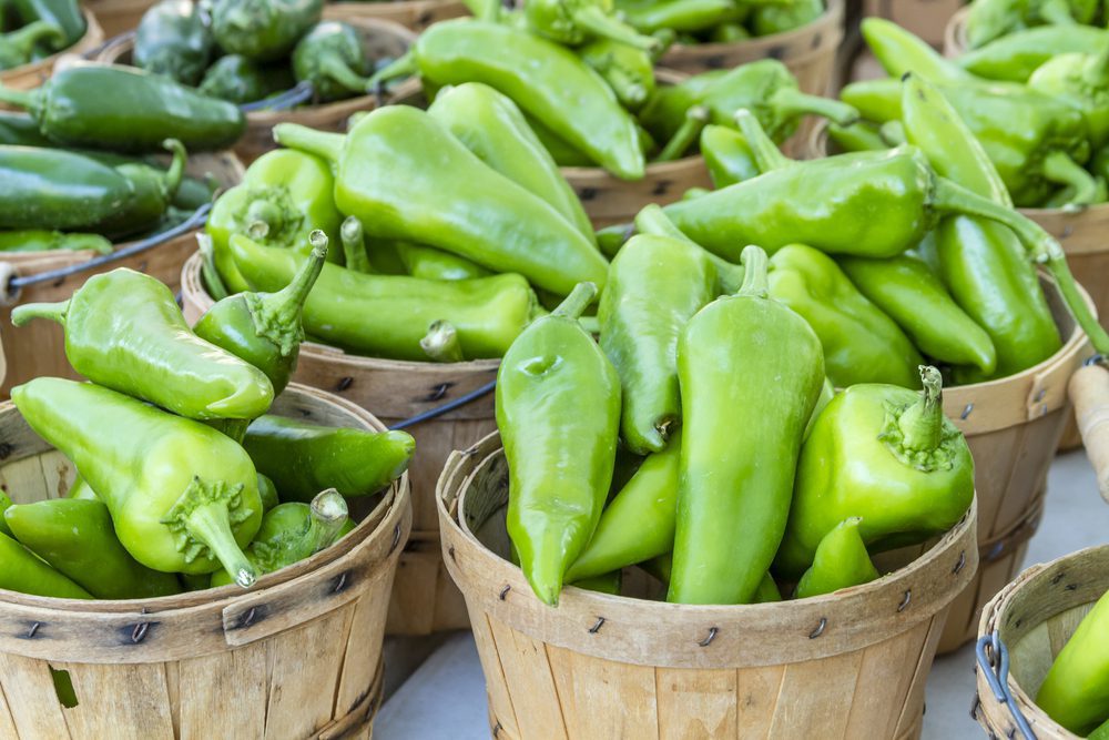 pimiento anaheim pimiento anaheim