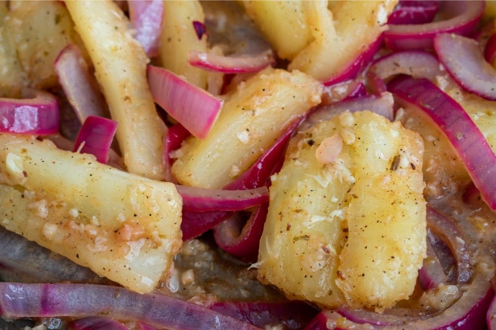 Yucca con Mojo