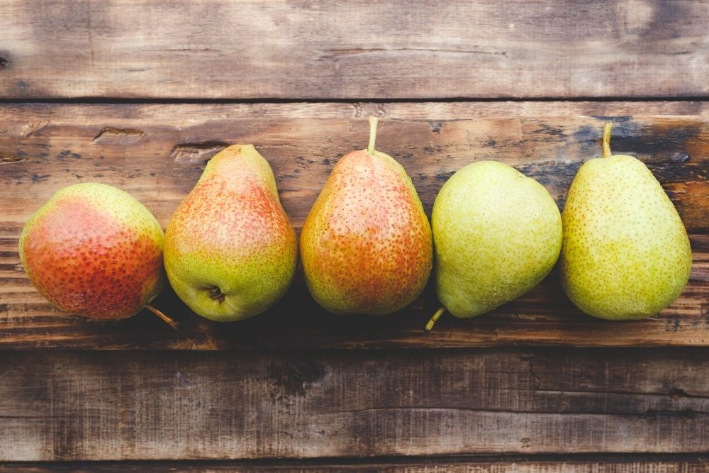 Queen Forelle Pear