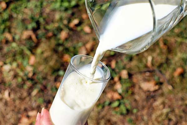 buttermilk