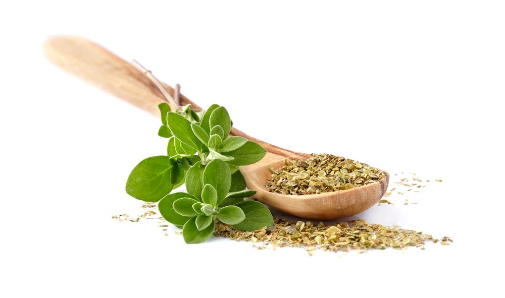 oregano