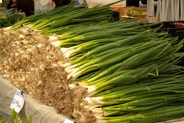 Whats-The-Difference-Between-Scallions-And-Shallots