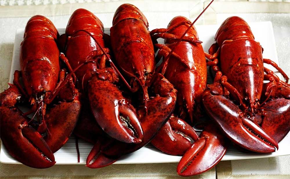 Delicious-Seafood-Year-Round-The-12-Types-of-Lobster